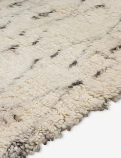 Nanita Rug -Furniture Store cme2304 texture