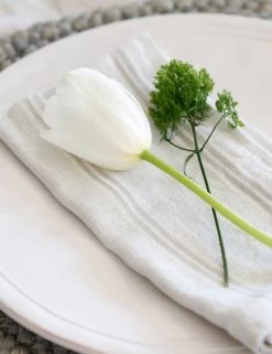 Mendocino Napkins (Set Of 4) By Pom Pom At Home -Furniture Store mendocino lifestyle copy