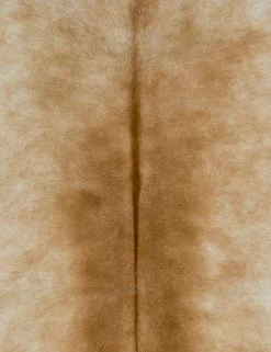 Cinnamon One-Of-A-Kind Hide Rug -Furniture Store pga1000 swatch