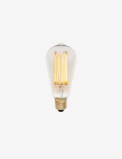 Squirrel Cage 3W LED Bulb (Set Of 2) By Tala